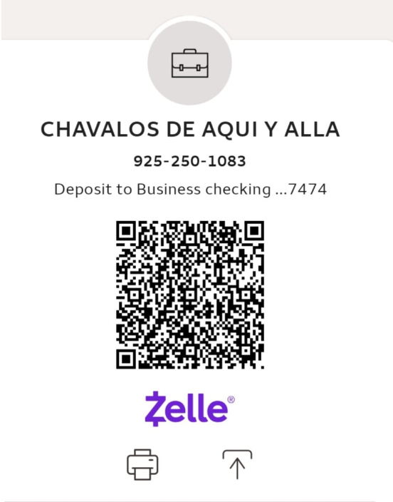 Zelle QR