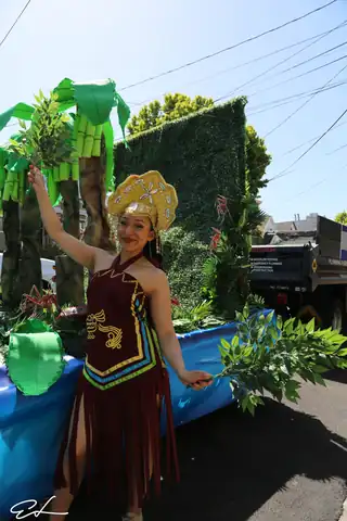 Carnaval SF 2024