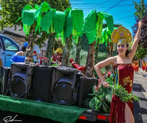 Carnaval SF 2024 — 15