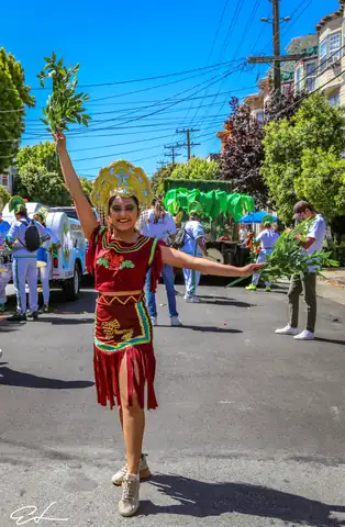 Carnaval SF 2024 — 53