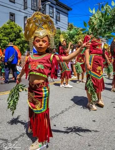 Carnaval SF 2024 — 113