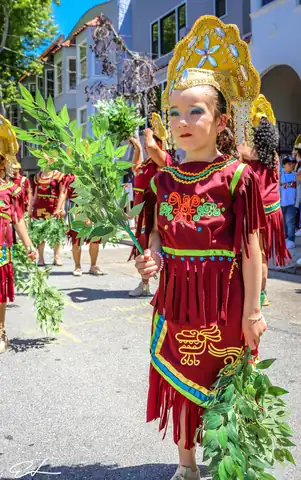 Carnaval SF 2024 — 118