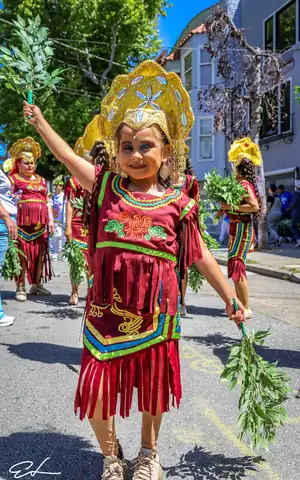 Carnaval SF 2024 — 120