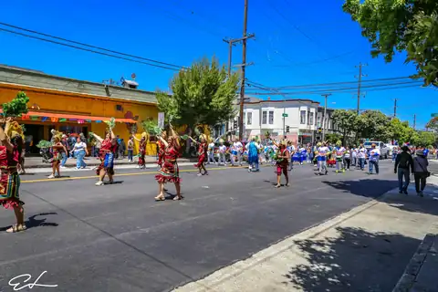 Carnaval SF 2024 — 164