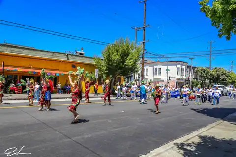 Carnaval SF 2024 — 165