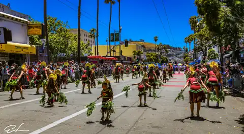 Carnaval SF 2024 — 188