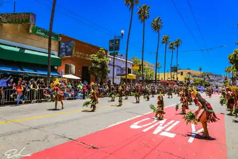 Carnaval SF 2024 — 192