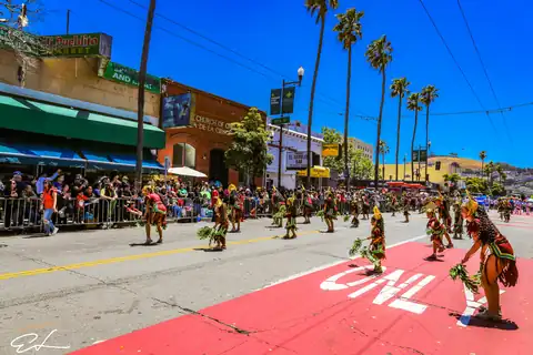 Carnaval SF 2024 — 194