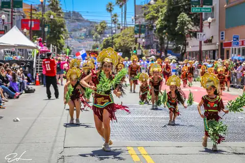 Carnaval SF 2024 — 234