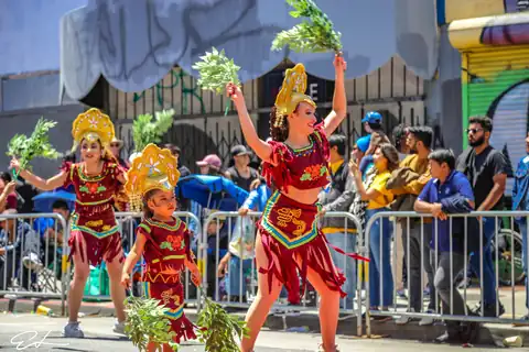 Carnaval SF 2024 — 246