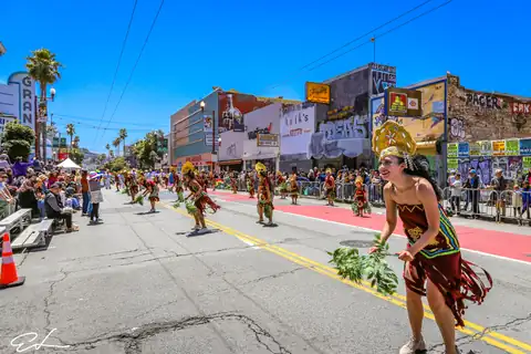 Carnaval SF 2024 — 263