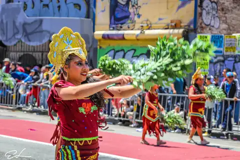Carnaval SF 2024 — 271
