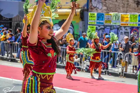 Carnaval SF 2024 — 272