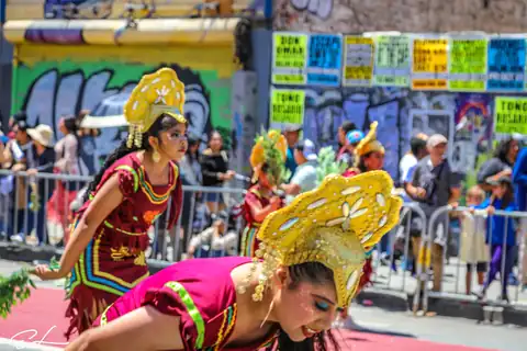 Carnaval SF 2024 — 273
