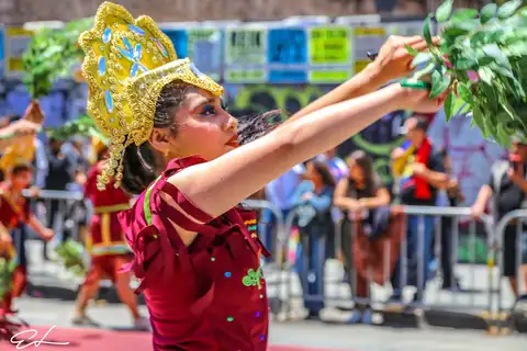 Carnaval SF 2024 — 274