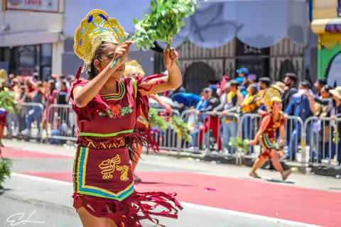 Carnaval SF 2024 — 276