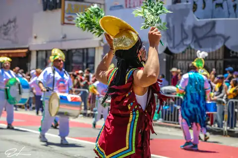 Carnaval SF 2024 — 289