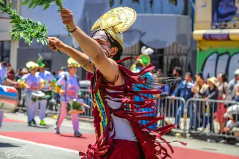 Carnaval SF 2024 — 290