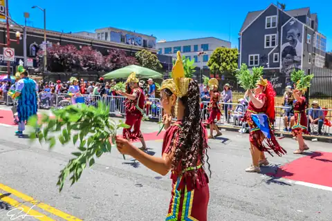 Carnaval SF 2024 — 347