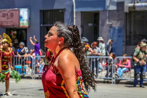 Carnaval SF 2024 — 403