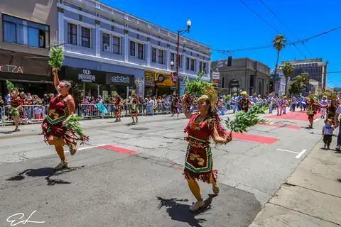Carnaval SF 2024 — 431