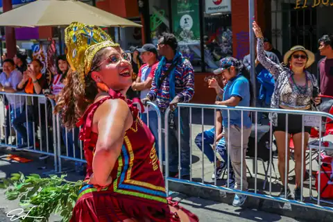 Carnaval SF 2024 — 469