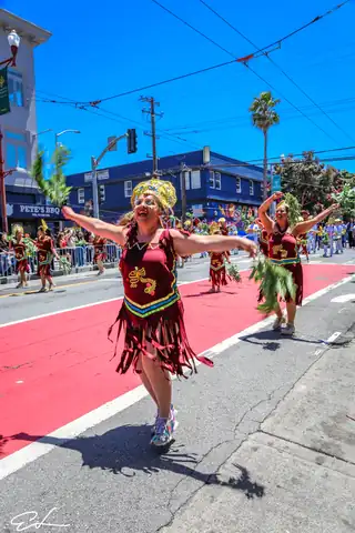 Carnaval SF 2024 — 480