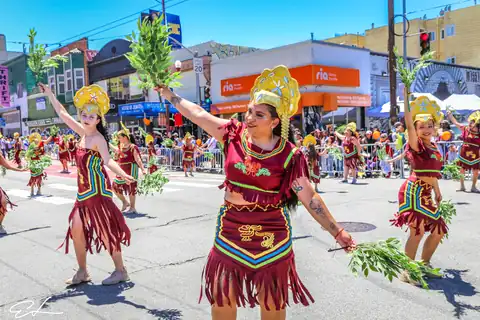 Carnaval SF 2024 — 514