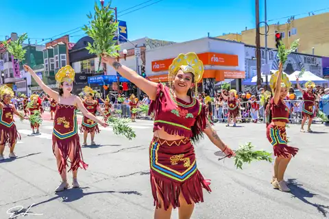 Carnaval SF 2024 — 515
