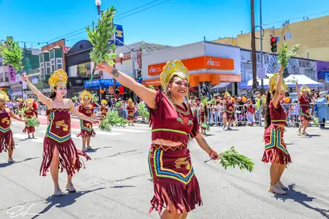 Carnaval SF 2024 — 516