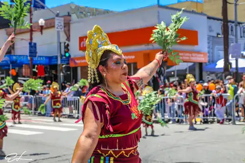 Carnaval SF 2024 — 517