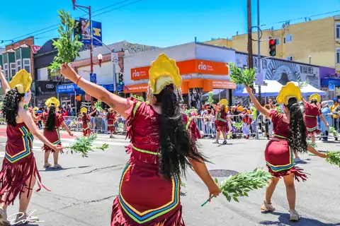 Carnaval SF 2024 — 519