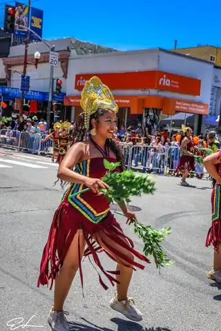 Carnaval SF 2024 — 542