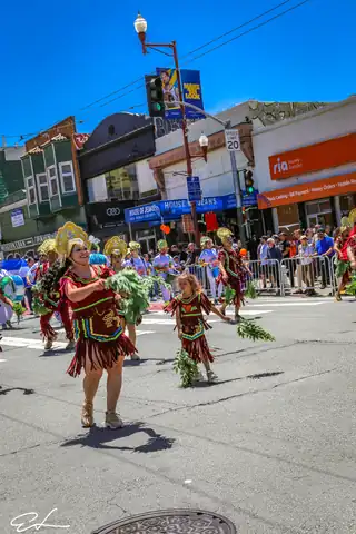 Carnaval SF 2024 — 562