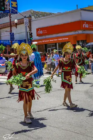Carnaval SF 2024 — 569