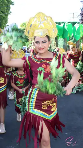 Carnaval SF 2024 — 663
