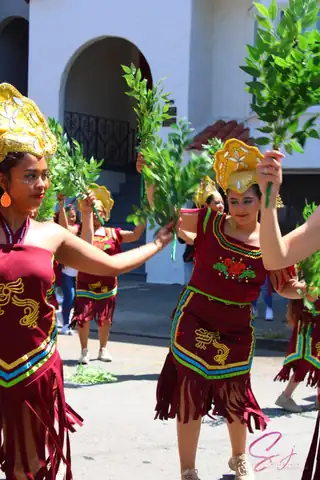 Carnaval SF 2024 — 702
