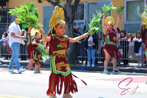 Carnaval SF 2024 — 741