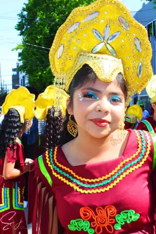 Carnaval SF 2024 — 780