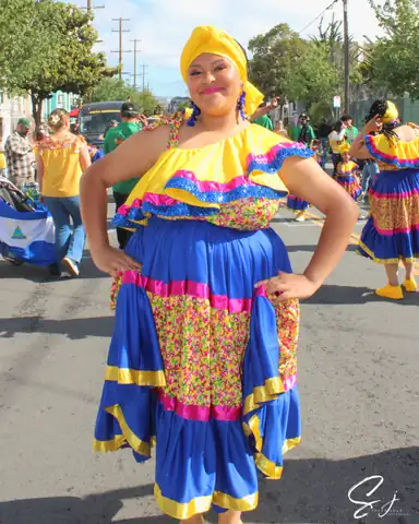 Carnaval SF 2025 — 9