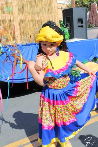Carnaval SF 2025 — 20