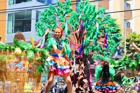 Carnaval SF 2025 — 113