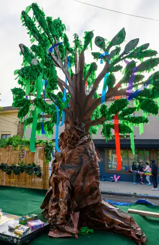 Carnaval SF 2025 — 149