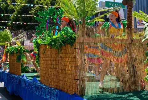 Carnaval SF 2025 — 284