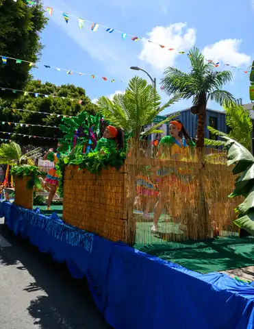 Carnaval SF 2025 — 285