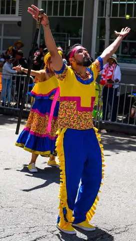 Carnaval SF 2025 — 300