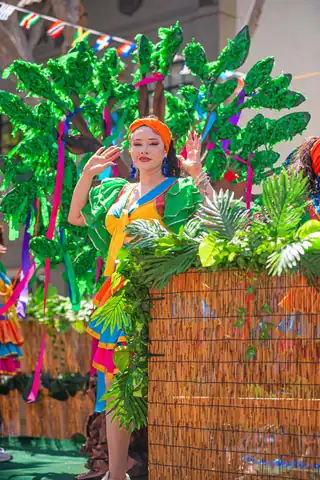Carnaval SF 2025 — 309