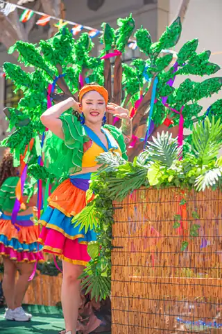 Carnaval SF 2025 — 310