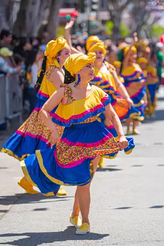 Carnaval SF 2025 — 311