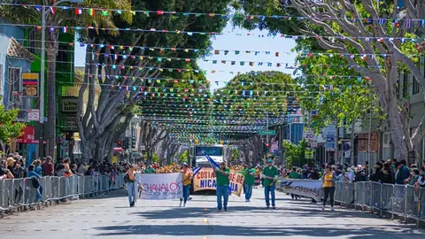 Carnaval SF 2025 — 319
